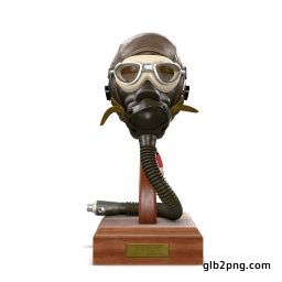Flight Helmet